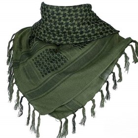 تصویر آمریکایی شماق (SHEMAGH ) 