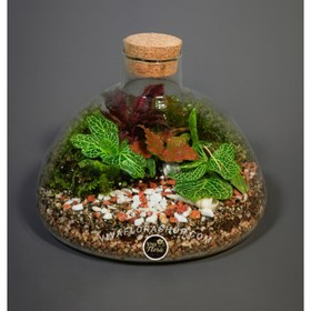 تصویر تراریوم قاب خیال 