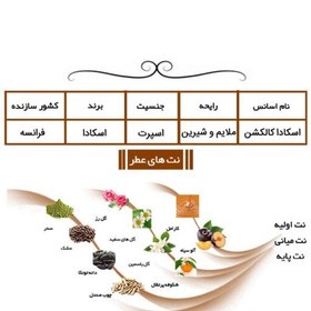 تصویر عطر اسکادا کالکشن (حجم 1میل) برند لوزی گرید اچ ماندگاری 48ساعت تضمینی 