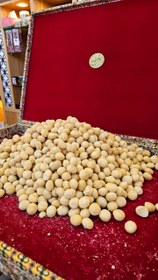 تصویر مغز ماکادمیا 