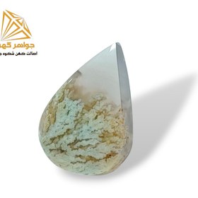 تصویر نگین شجر زمستانی (کد۸۰) 