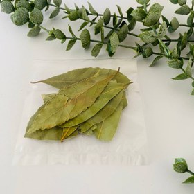 تصویر برگ بو 