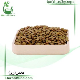 تصویر عدس ریز 