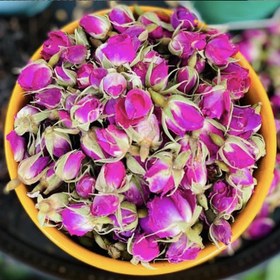 تصویر غنچه گل محمدی خشک 