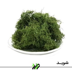 تصویر سبزی شوید خشک خوشه ای برند صدرا در وزن 35 گرم رنگ طبیعی سبزی ارسال مستقیم توسط تولید کننده 