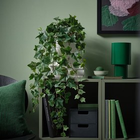 تصویر گلدان پيچک آويز ایکیا مدل FEJKA 