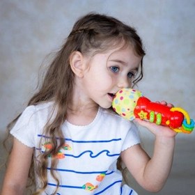 تصویر جغجغه میکروفن وین فان Winfun