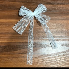 تصویر گیره مو پاپیونی 