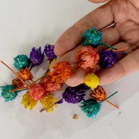 تصویر گل خشک فندقی زرد 