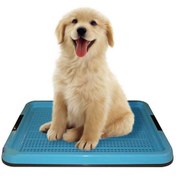 تصویر سینی دستشویی سگ هپی پت سایز متوسط 