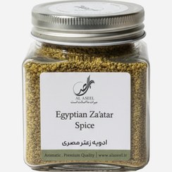 تصویر ادویه زعتر - ۳۵۰ گرم 