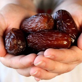 تصویر خرما مجول 