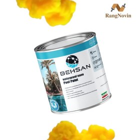 تصویر رنگ نانو آبگریز استخری 