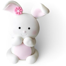 تصویر تاپر کیک خرگوش - گوگولی ها 