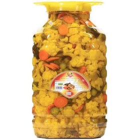 تصویر ترشی مخلوط پت آلش - 10 کیلوگرم 