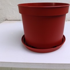 تصویر گلدون پلاستیکی پاچیرا سایز17 