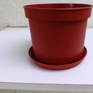 تصویر فروشگاه گلکده‌ محیا