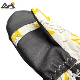 تصویر دستکش اسکی ای ایکس 2 کد 866227 