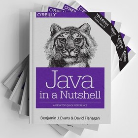تصویر کتاب Java in a Nutshell: A Desktop Quick Reference 7th Edition 