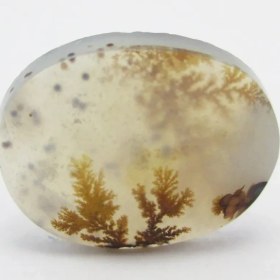 تصویر سنگ شجر کد 2307 