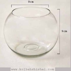 تصویر تنگ نقلی 