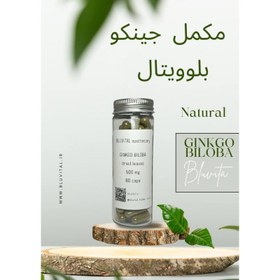 تصویر مکمل جینکو (کپسول ۵۰۰) 