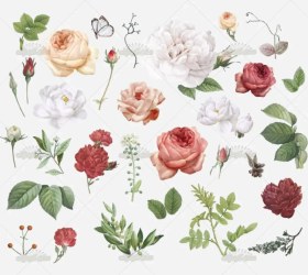 تصویر وکتور شاخه گل 