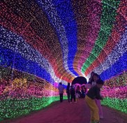 تصویر ریسه سوزنی ۱۰۰ متری سیم سفید 