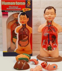 تصویر مولاژ بدن انسان 