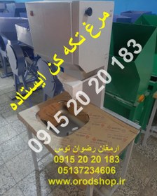 تصویر مرغ تکه کن ایستاده 