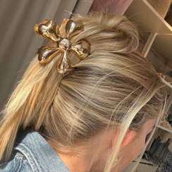 تصویر کلیپس مو پینترستی زایا کد ۱۹۱۸ 