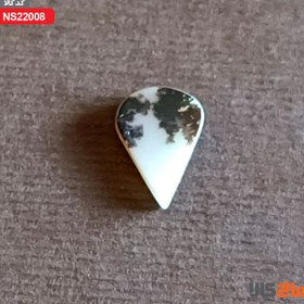 تصویر نگین شجر (اشکی) 