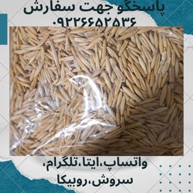 تصویر جو دوسر Joe جو دوسر 200 گرمی