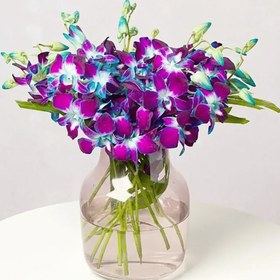 تصویر ارکیده‌های آسمان آبی کد22 (انگلیس) 