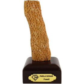 تصویر فسیل کد 3283 