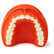 تصویر مدل تمرینی پروتز و ترمیمی با لثه سخت فک بالا 