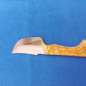 تصویر تیزی پارسا 