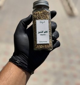 تصویر تخم گشنیز 