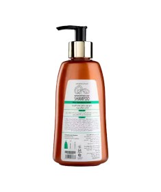 تصویر شامپو گانودرما دکتر بیز مناسب موی چرب Biz shampoo Ganooderma for oily hair