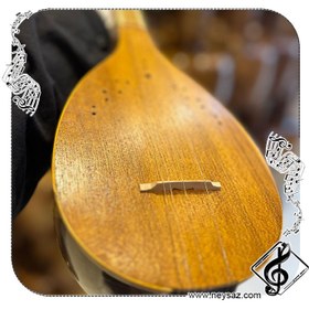 تصویر سه تار رضا کلهر 