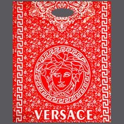 تصویر نایلون طرح دار طرح Red Versace کیسه 20 کیلویی 