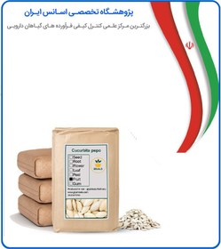 تصویر تخمه کدو خام فله 