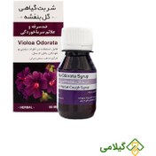 تصویر شربت گیاهی گل بنفشه زرین دارو Viola Odorata Herbal Syrup Zarin Darou