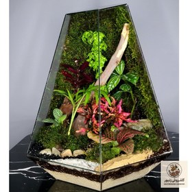 تصویر تراریوم ترارتوس مدل 04 | کد: ZNB-5Y0 