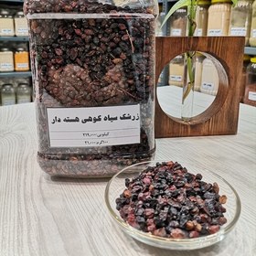 تصویر زرشک سیاه کوهی یا زرشک هسنه دار درجه یک خانه ادویه در بسته بندی های 100 گرمی تمیز و بهداشتی 