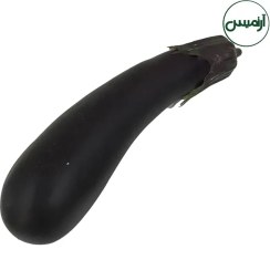 تصویر بادمجان مصنوعی 