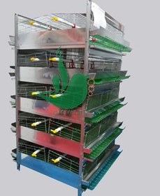 تصویر قفس بلدرچین ۵ طبقه اقتصادی سبز توس 