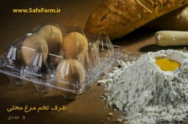 تصویر ظرف تخم مرغ محلی 9 عددی 