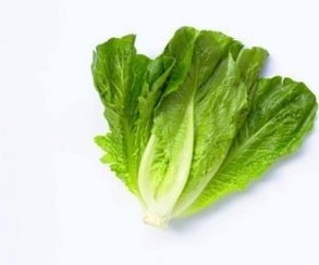 تصویر کاهو شیرین ترد وتازه - سالادی Lettuce