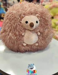 تصویر عروسک خارپشت 